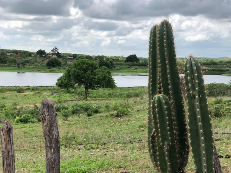 Norte do Ceará foi mais beneficiado pelas chuvas em relação ao sul, conforme havia sido indicado pela Funceme (Foto: Marciel Bezerra)