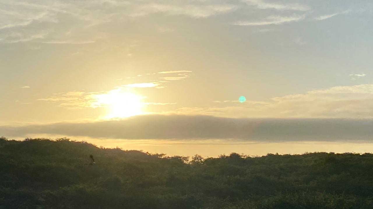 Com chuvas pouco generalizadas, Ceará vai seguindo com todo território com seca FOTO: Marciel Bezerra)
