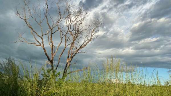 Cariri é a única região onde as condições deverão permanecer mais instáveis (FOTO: Marciel Bezerra)