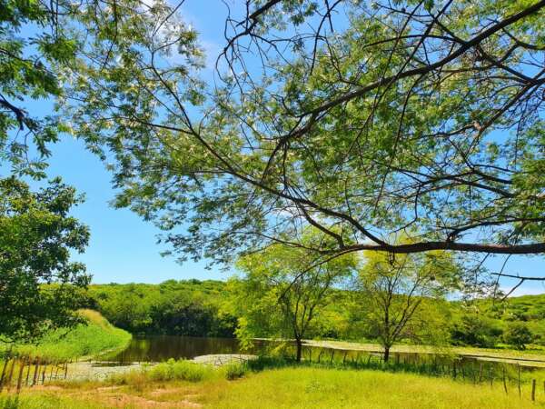 Sem sistemas indutores de chuva, tendência é de mais céu claro (FOTO: Danilo Freitas)