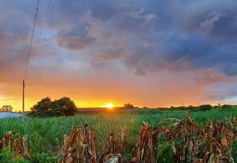 No Ceará como um todo, o sol permanecerá em evidência (FOTO: Ricardo Paiva)