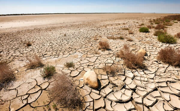 No Brasil, a ocorrência de secas severas e recorrentes, bem como o processo de desertificação, é mais evidente na região semiárida, que atualmente engloba 1.262 municípios