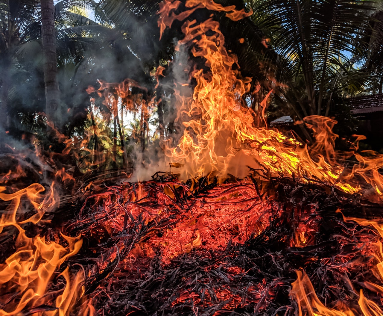 As condições secas de solo e de vegetação, as baixas umidades relativas do ar, além das temperaturas altas e ventos frequentemente mais intensos no segundo semestre do ano costuma facilitar o aumento do número de queimadas (FOTO: Reprodução/Pexels)