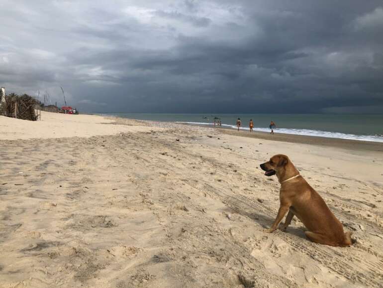 Tendência de chuvas para os próximos dias no Ceará. (Foto: Rousi Benício)