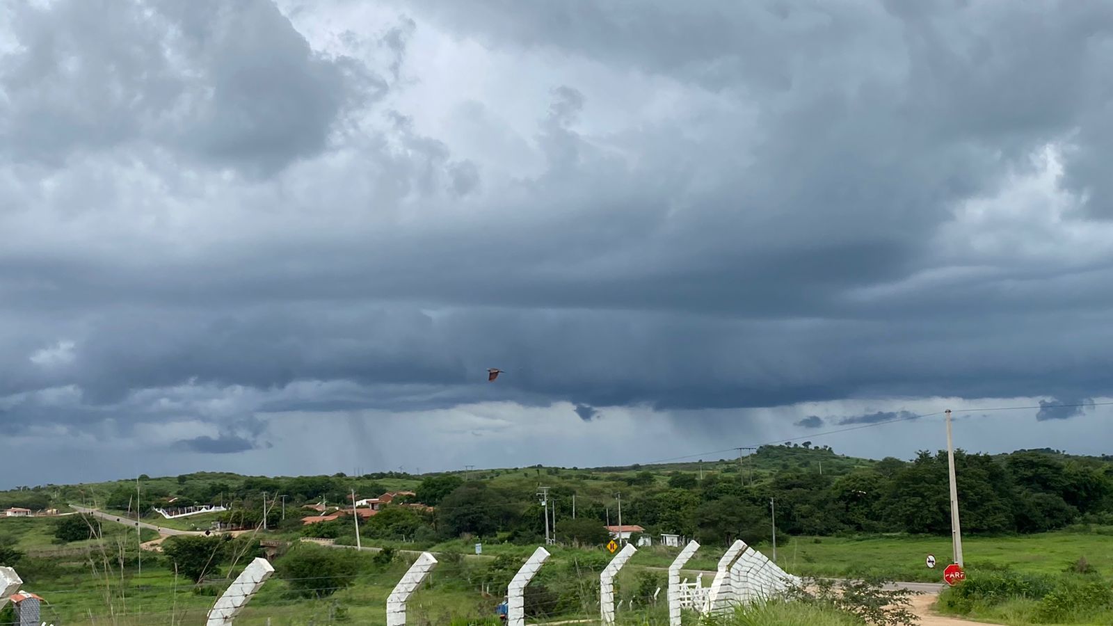 Cariri foi a região com maior acumulado médio (FOTO: Marciel Bezerra)