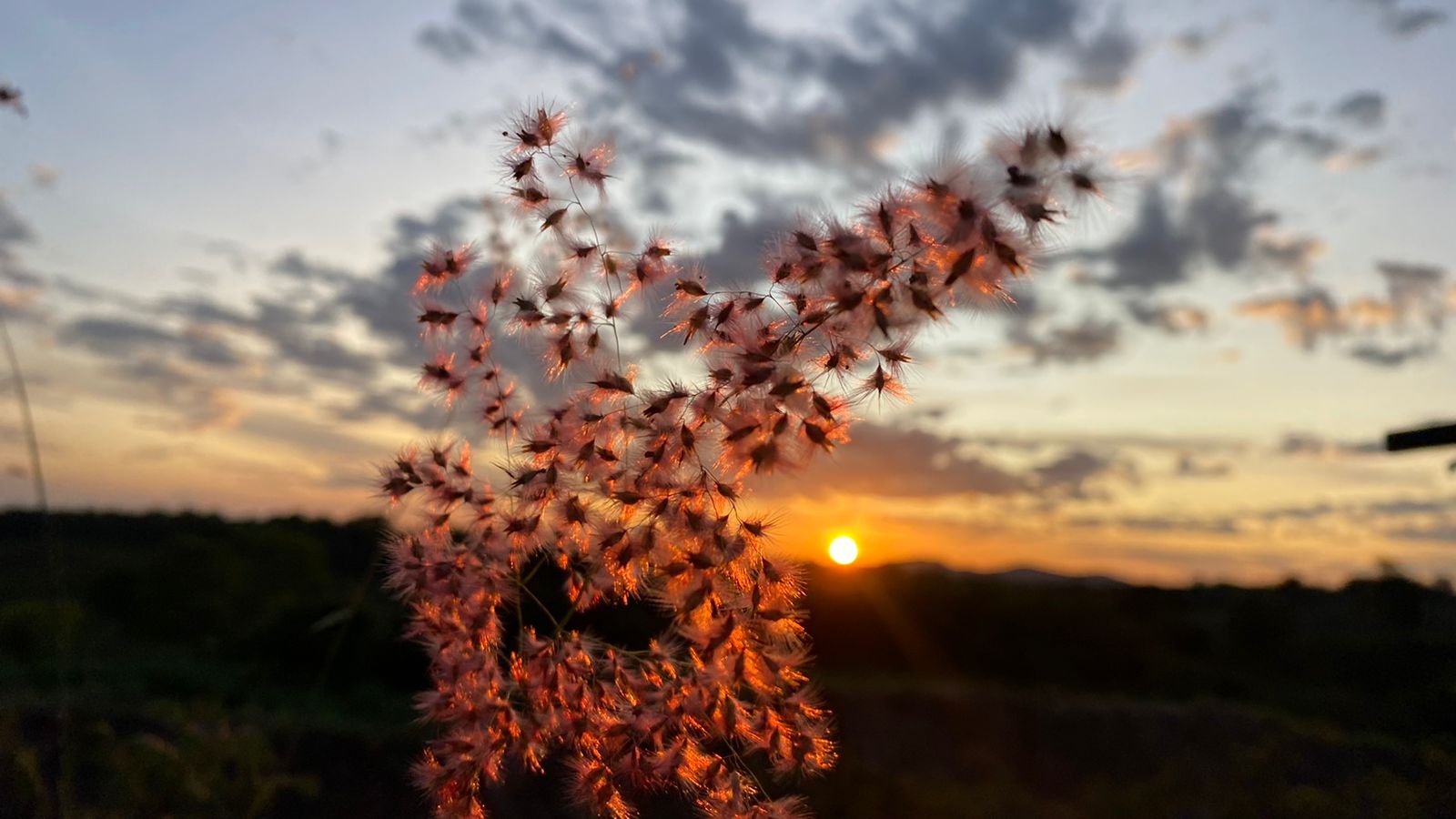 Sol deverá seguir firme em maior parte do tempo (FOTO: Marciel Bezerra)