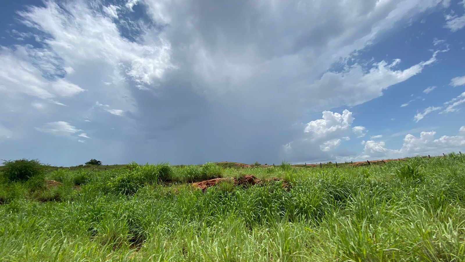 Chuvas deverão chegar a todas as regiões neste fim de semana (FOTO: Marciel Bezerra)