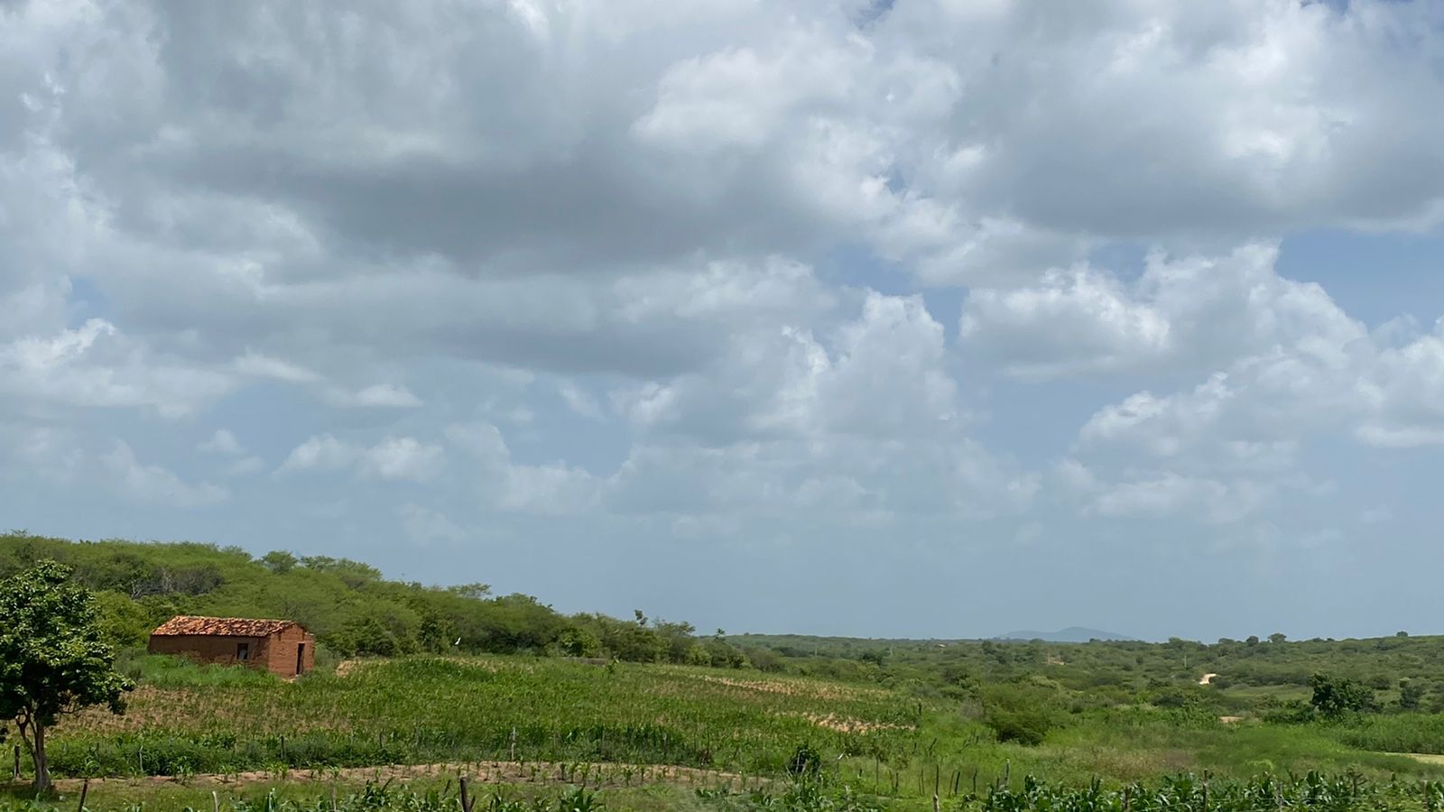 Chuvas deverão seguir de forma escassa até quarta (16) (FOTO:  Marciel Bezerra)