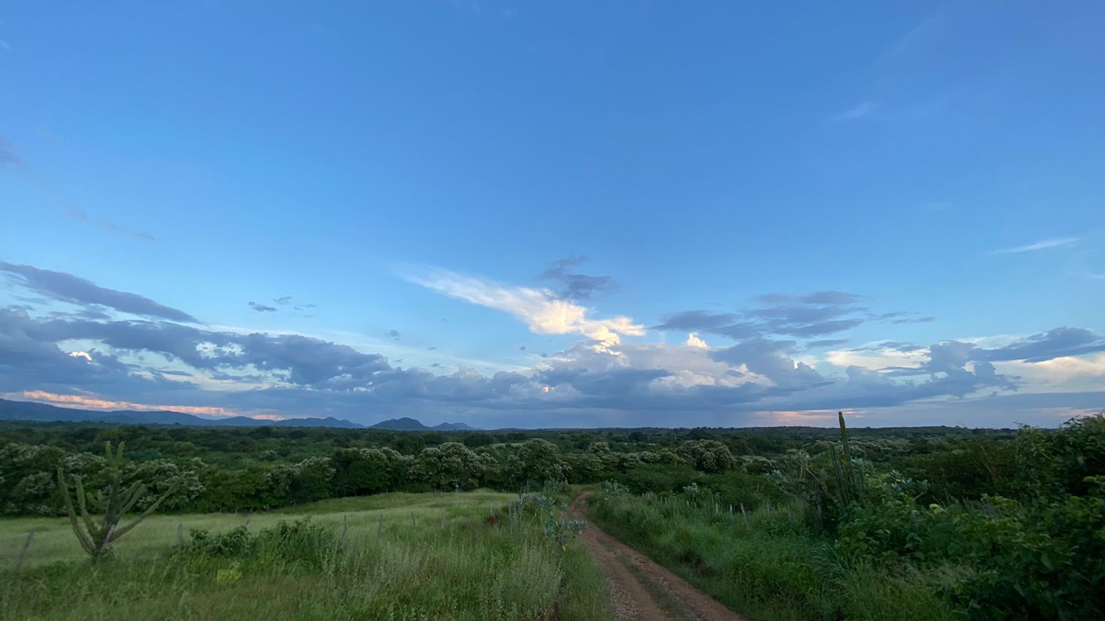 Sul do Ceará segue com condições para chuvas (FOTO: Marciel Bezerra)