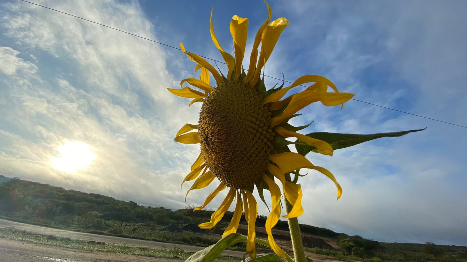 Dias deverão ter céu mais mais claro (FOTO: Marciel Bezerra)