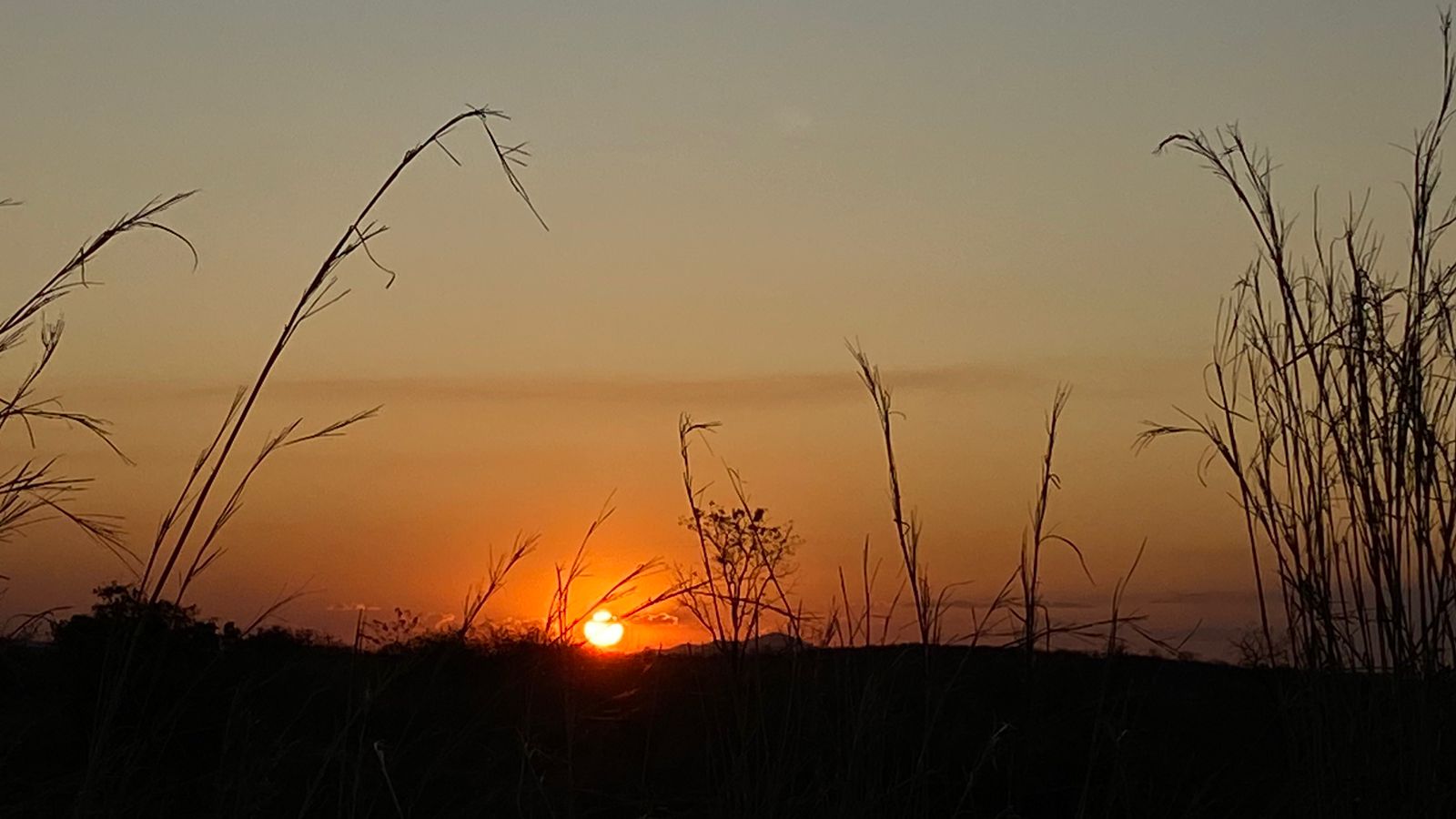 Baixa umidade e alta temperatura são habituais nesta época do ano (FOTO: Marciel Bezerra) 