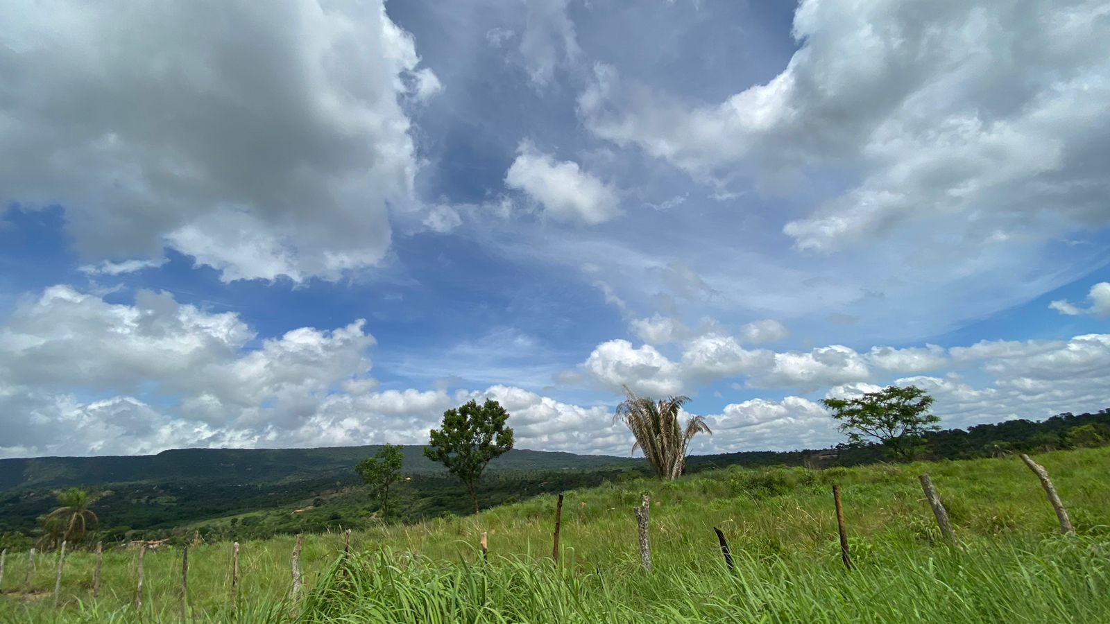 Território cearense seguirá sob tempo mais firme (FOTO: Marciel Bezerra)