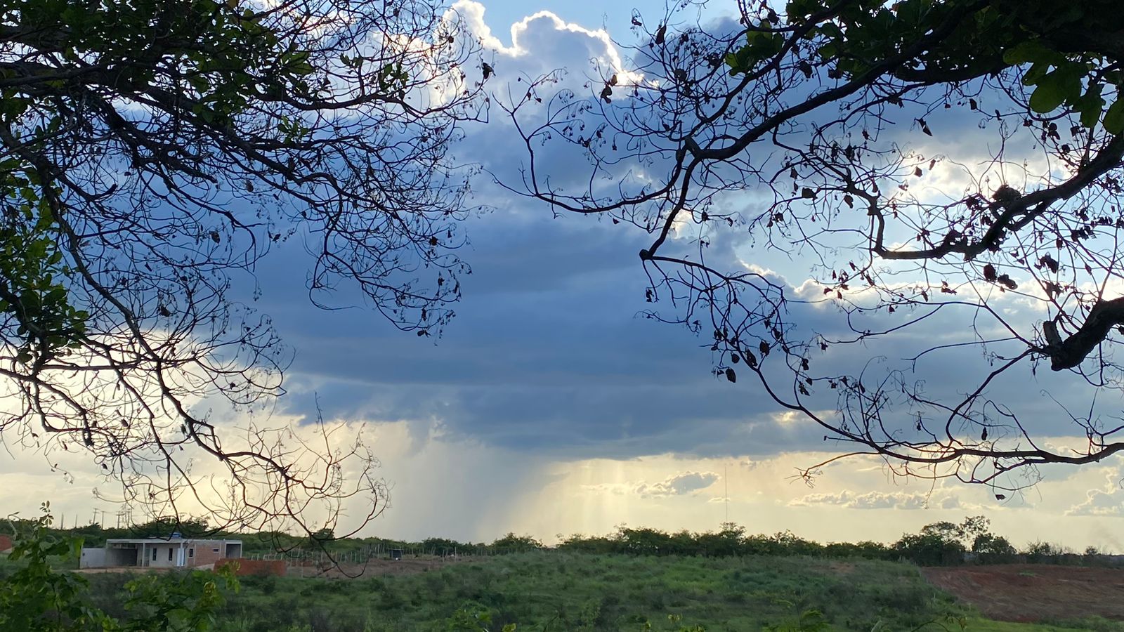 Cariri, no sul do Ceará, poderá receber chua entre noite e madrugada (FOTO: Marciel Bezerra)
