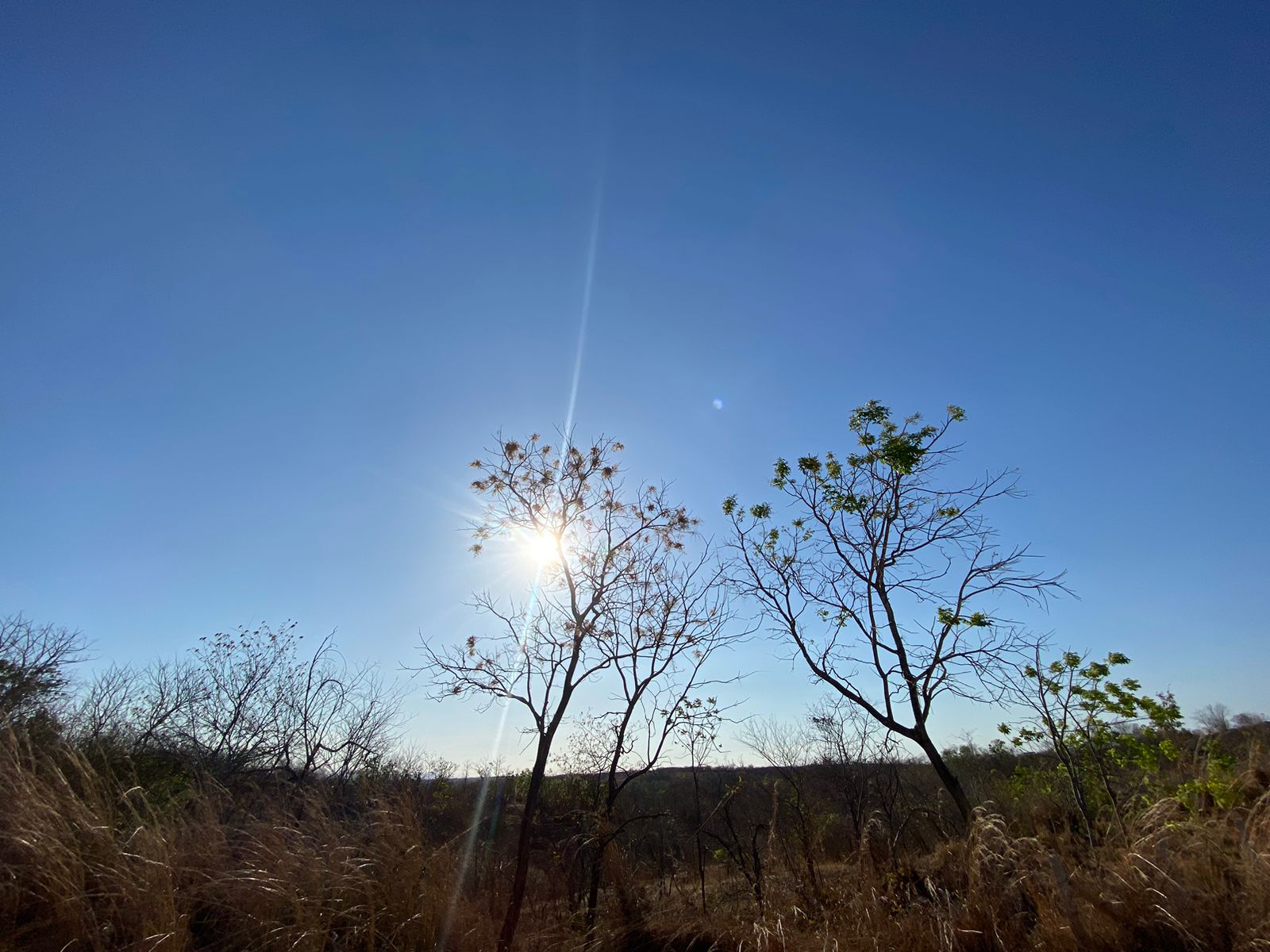 Diante das condições estáveis, são esperadas máximas entre 36 °C e 39 °C (FOTO: Marciel Bezerra)