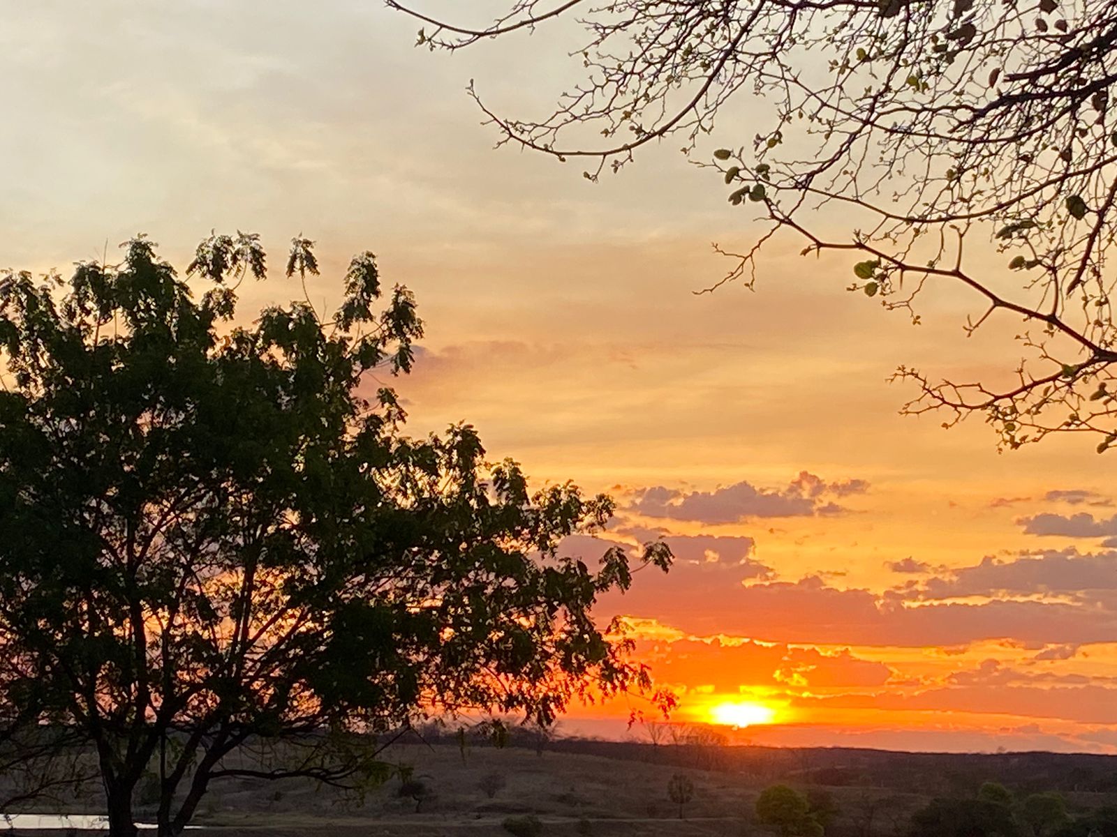 El Niño é um dos responsáveis por maiores picos de temperatura no Ceará (FOTO: Marciel Bezerra)