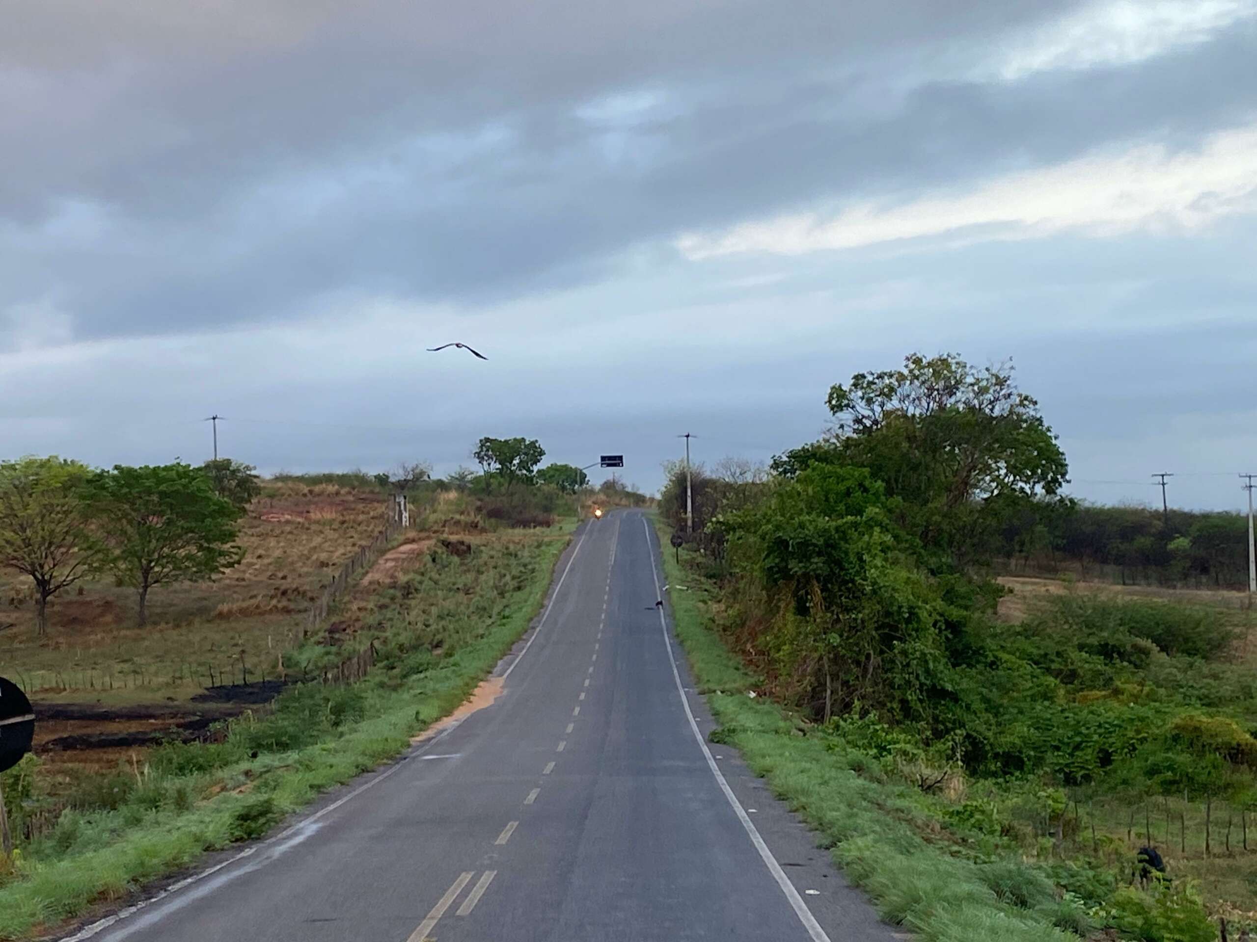 Cariri está entre as regiões com chances de chuva (FOTO: Marciel Bezerra)