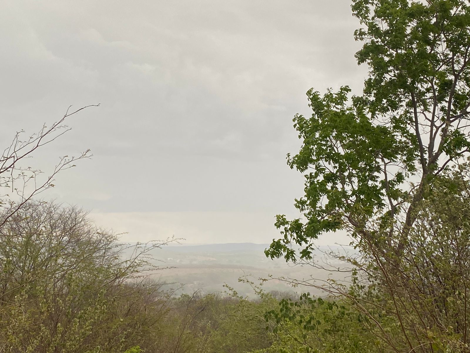 Condições ainda seguem favoráveis (FOTO: Marciel Bezerra)