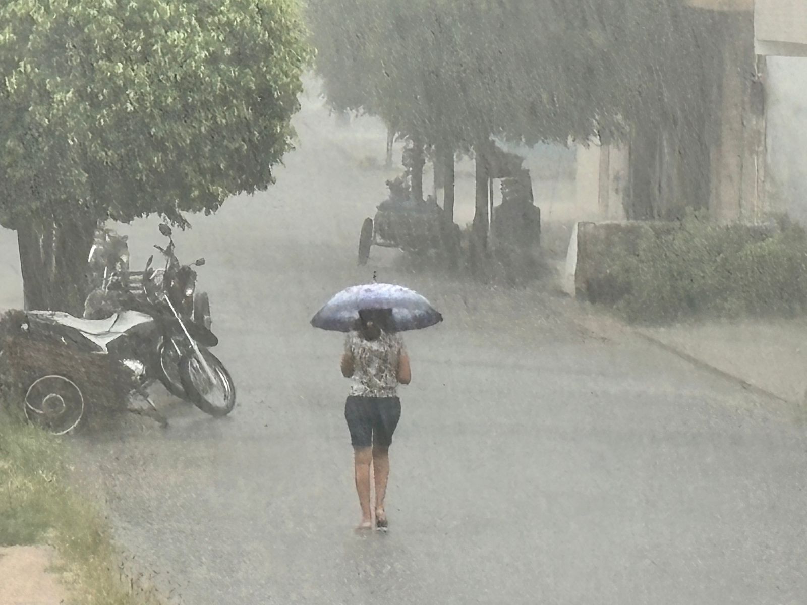 Sul do estado está entre as áreas com chances de maiores acumulados (FOTO: Marciel Bezerra)