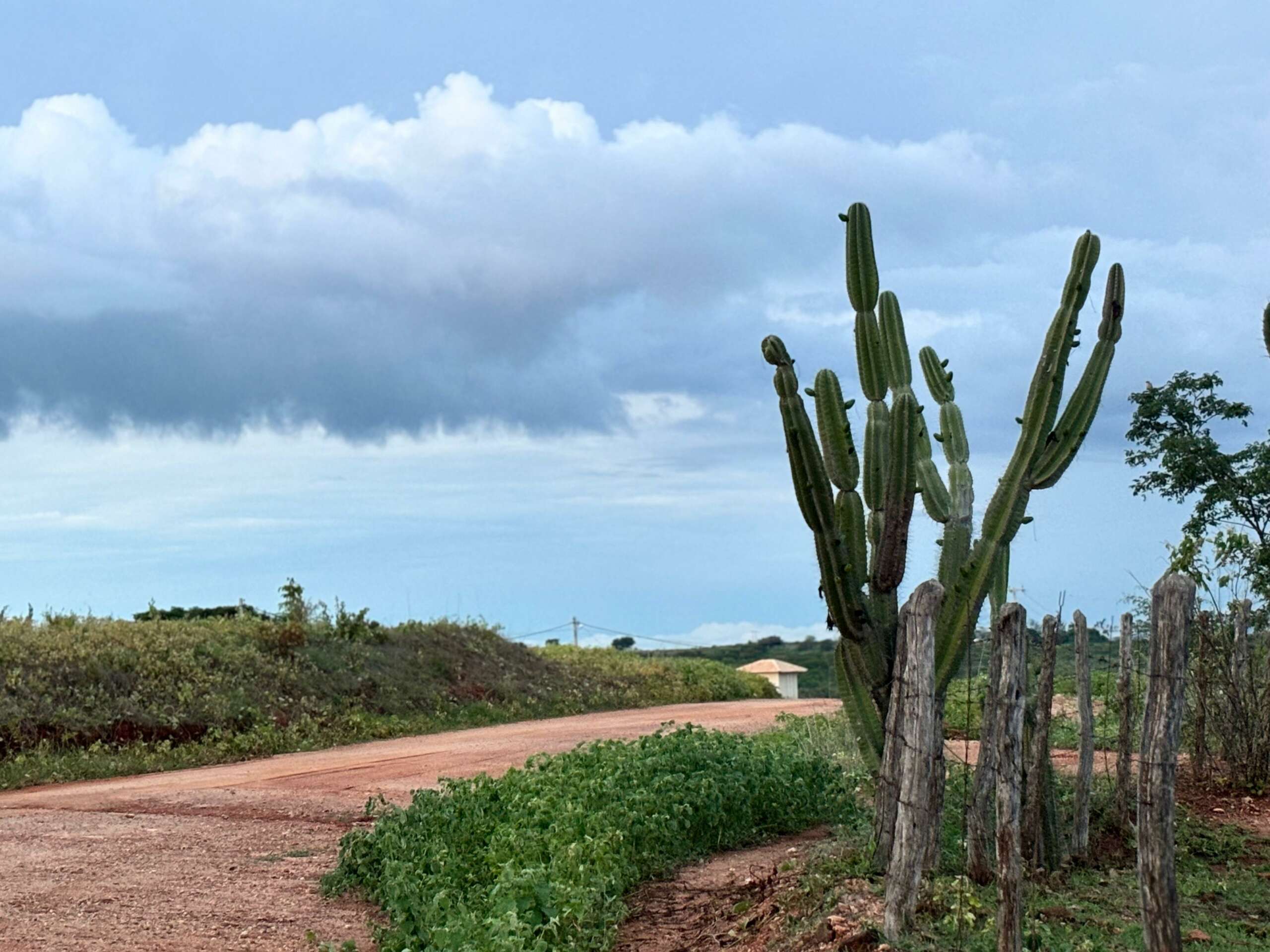 Chuvas deverão seguir irregulares no tempo e no espaço (FOTO: Marciel Bezerra)