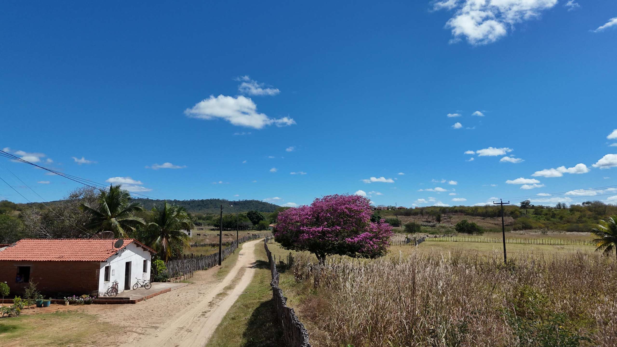 O calor deve continuar intenso, especialmente no interior. (FOTO: Marciel Bezerra)