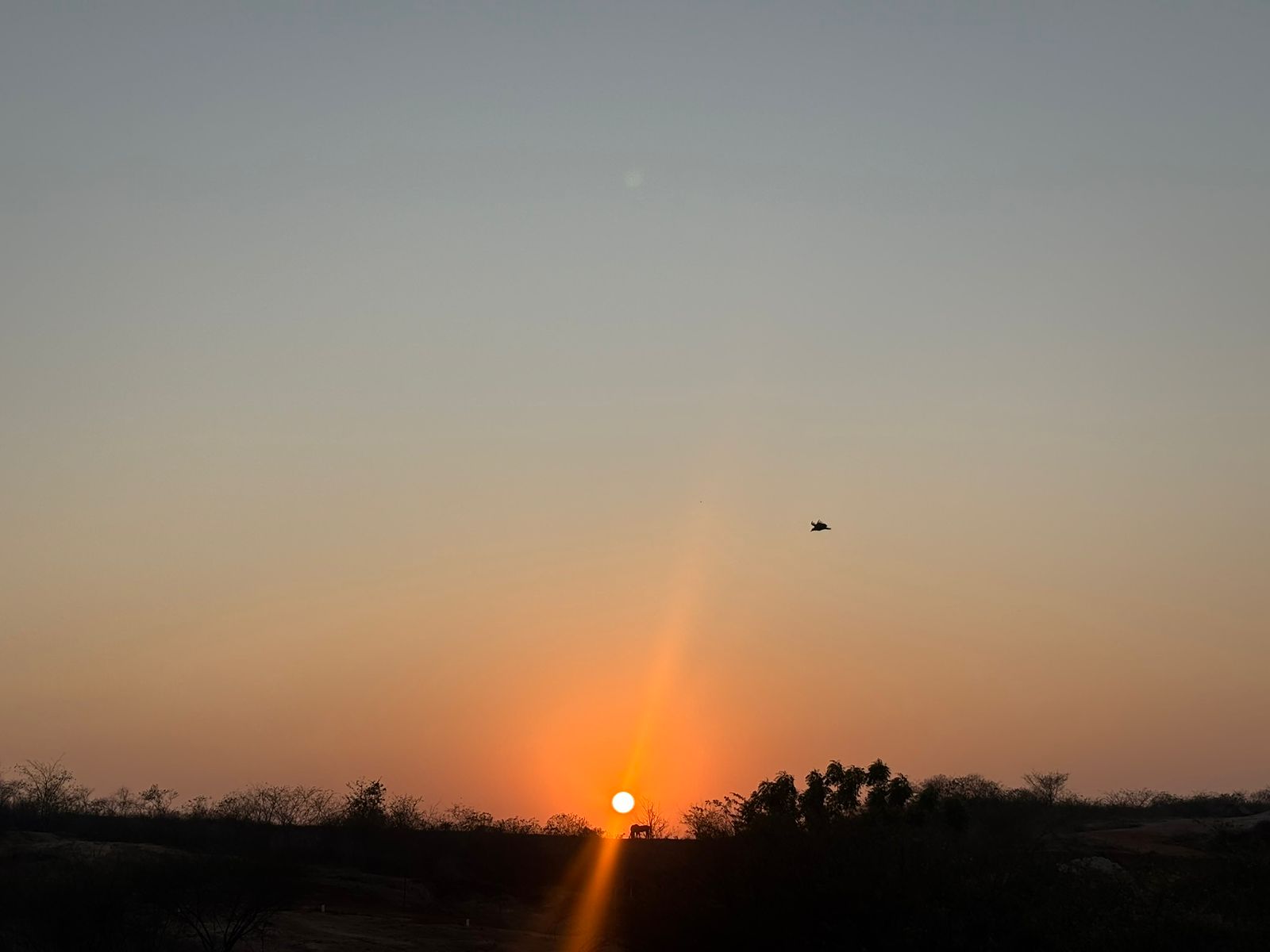 As temperaturas máximas deverão variar  de 34 °C a 37 °C nas macrorregiões do Sertão Central e Inhamuns, Ibiapaba, Jaguaribana e Litoral Norte (FOTO: Marciel Bezerra)