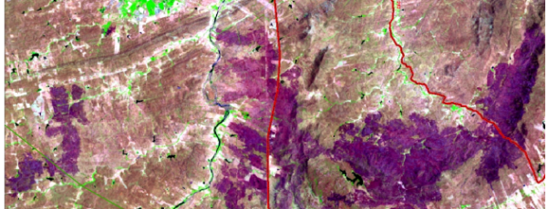Resposta espectral de uma cicatriz de queimada (roxo) nas imagens de satélite em Icó (FOTO: Landsat)