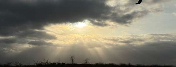 As temperaturas máximas devem variar entre 35°C e 39°C (FOTO: Marciel Bezerra)