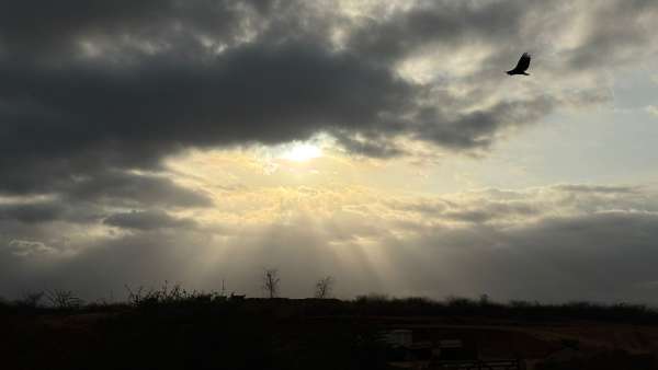 As temperaturas máximas devem variar entre 35°C e 39°C (FOTO: Marciel Bezerra)