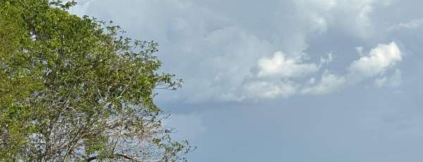 Com a diminuição gradual da nebulosidade, as temperaturas máximas voltam a subir, podendo variar entre 34°C e 38°C em regiões do interior (FOTO: Marciel Bezerra)
