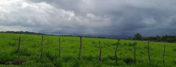 Para a terça-feira (31), a instabilidade permanece sobre o estado, com previsão de chuvas concentradas principalmente no interior. (FOTO: Leonardo Pedreira)