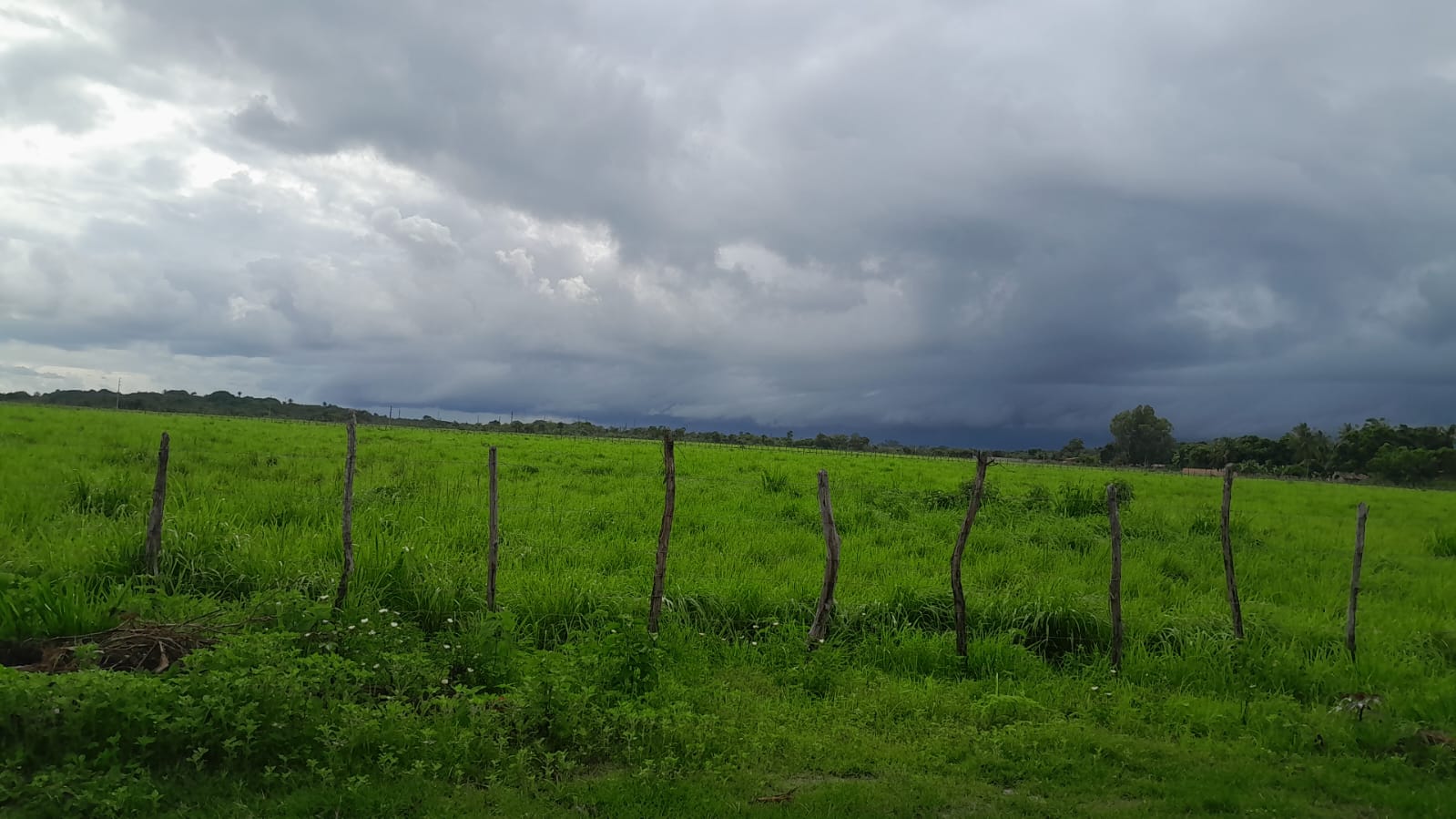 Para a terça-feira (31), a instabilidade permanece sobre o estado, com previsão de chuvas concentradas principalmente no interior. (FOTO: Leonardo Pedreira)