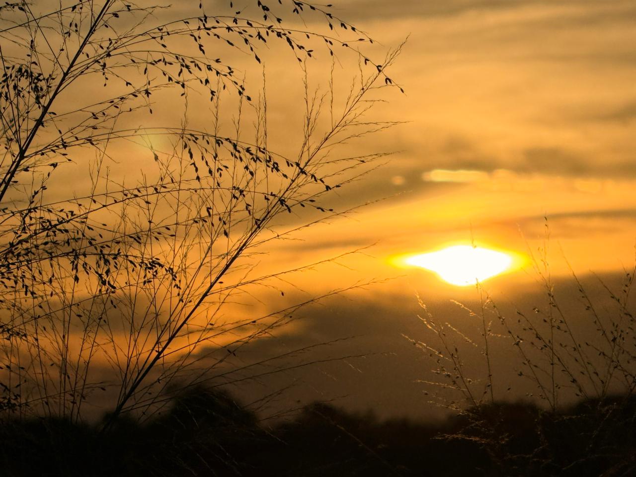 As temperaturas máximas devem variar entre 30°C e 33°C em grande parte do Ceará, com registros mais amenos nas áreas serranas. (FOTO: Marciel Bezerra)