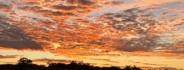 As temperaturas máximas devem variar entre 30°C e 33°C em grande parte do Ceará, mantendo a sensação de calor e desconforto térmico. (FOTO: Marciel Bezerra)